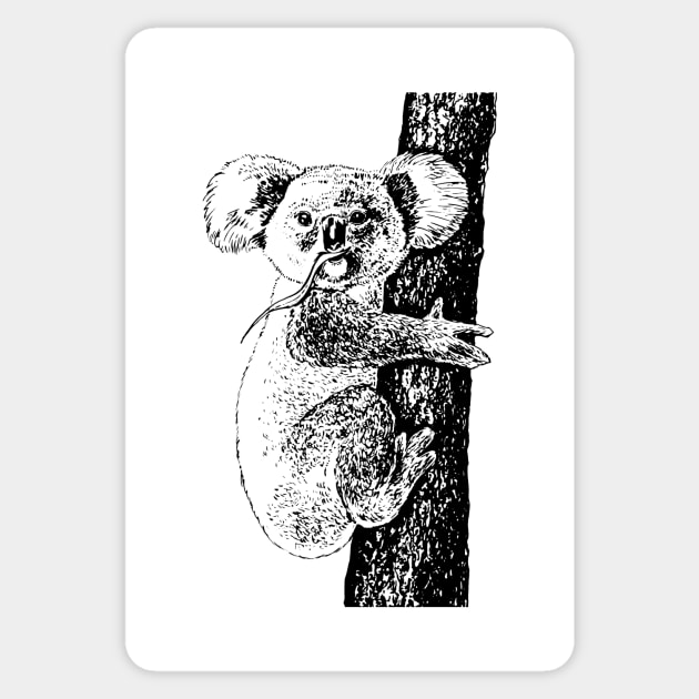 Koala ink drawing Sticker by katerinamk